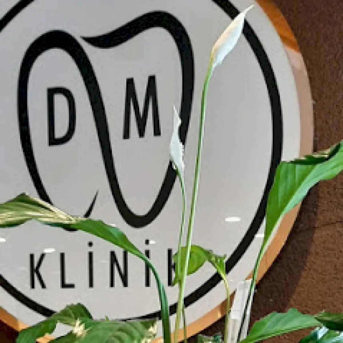 DM Klinik