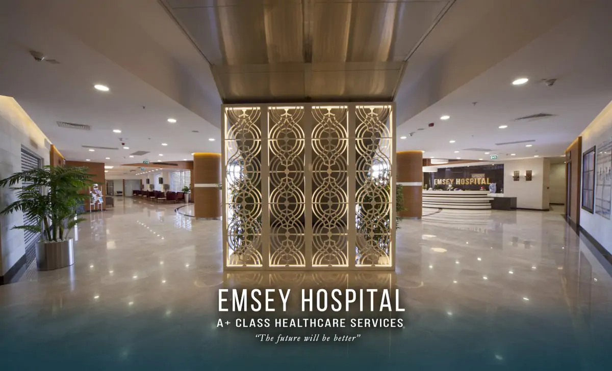 Больница Эмсей (Emsey Hospital)
