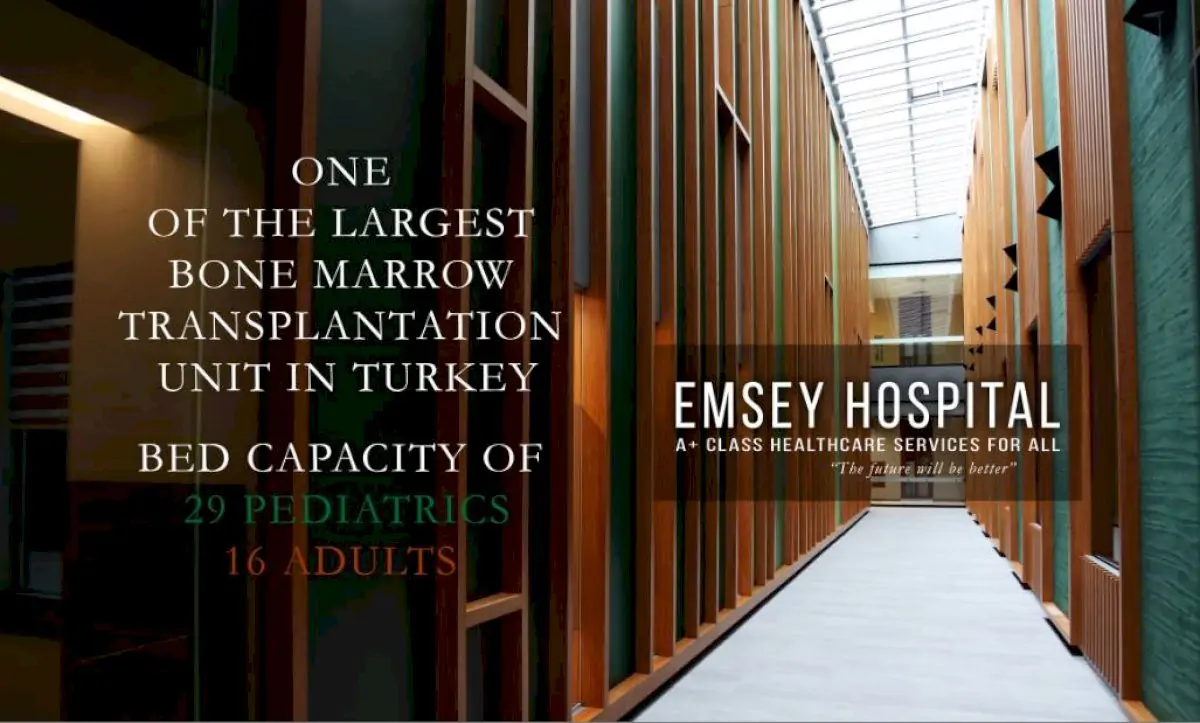 Больница Эмсей (Emsey Hospital)