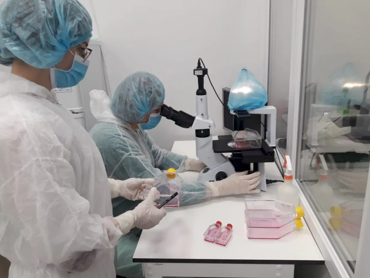 Coollaser Clinic
