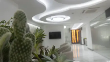 منطقة انتظار حديثة في HB Dental Clinic بإضاءة عصرية ونباتات داخلية