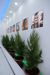 Pasillo en Zirve Dental Clinic con plantas en macetas y fotos de pacientes sonrientes