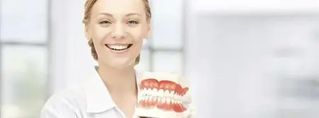 Especialista dental con modelo de dientes en Highfield Dental Clinic Edgbaston