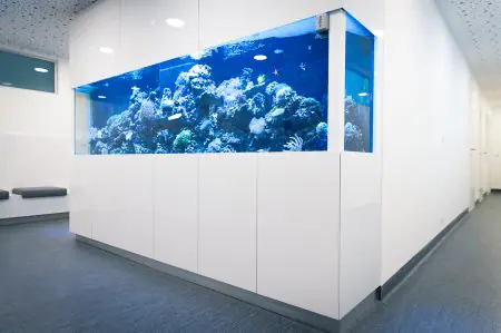 Área de espera moderna en Dental Care Center Black Swan con gran acuario