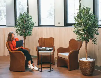 منطقة انتظار في Schill Dental Clinic Prague بكراسي خيزران ونباتات داخلية