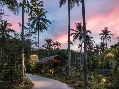 Zona ajardinada en Wonderland Healing Center Koh Phangan con palmeras tropicales