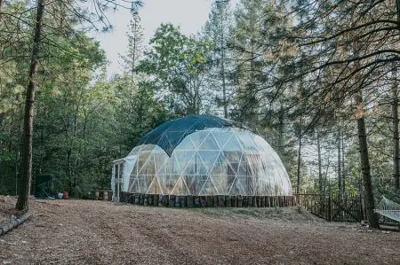 الواجهة الخارجية لعيادة Wisteria Wellness Retreat القبة بين الأشجار