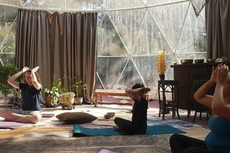غرفة يوغا وتأمل في Wisteria Wellness Retreat بإضاءة طبيعية ونباتات