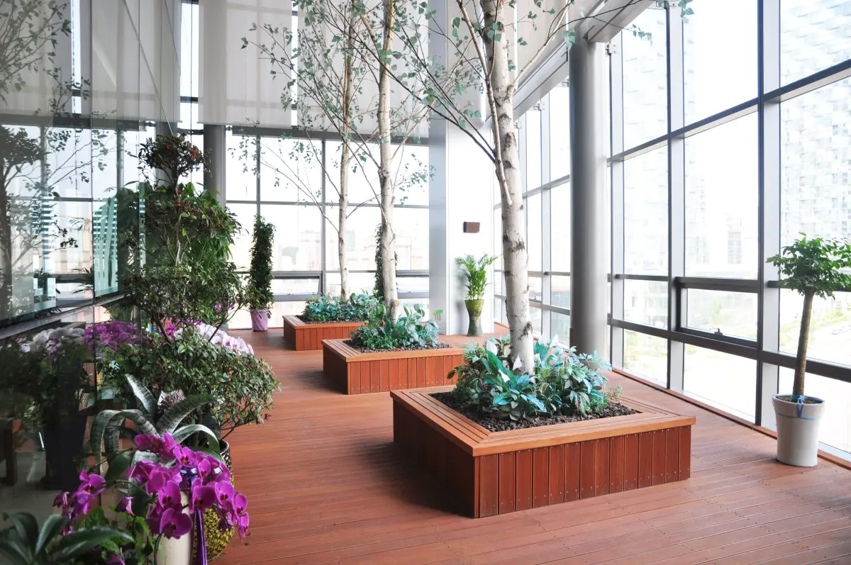 Indoor healing garden at Jian Health Promotion Center, bright space with plants and trees