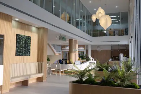 منطقة الاستقبال في مستشفى LUX KOR بتصميم حديث ونباتات داخلية