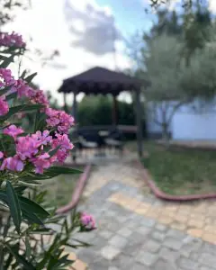 شرفة وحديقة زهور في منطقة الاستراحة الخارجية لعيادة Santa Caterina