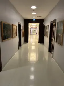 Pasillo en la clínica Dr. Tolgay Şatana con decoración moderna y acceso a salas médicas