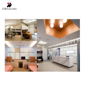 Recepción moderna y habitaciones de pacientes en Umnagumo Plastic Surgery, Corea del Sur
