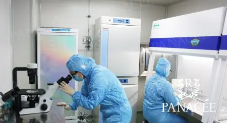 مختبر في مستشفى باناسي الدولي تشينهوانغداو مع طاقم ومعدات متقدمة