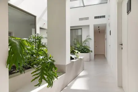 ممر عيادة مشرق في MyMoment مع نباتات داخلية وتصميم حديث