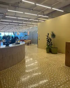 منطقة الاستقبال في ADONIS Medical Group كييف، ديكور حديث مع مقاعد انتظار