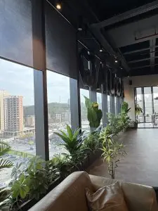 منطقة انتظار في Aqua Dental Clinic بنوافذ كبيرة ونباتات داخلية