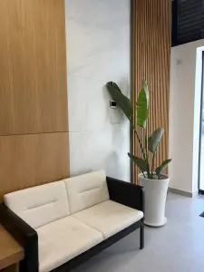 Área de espera moderna en la clínica Fertina IVF con sofá y planta de interior