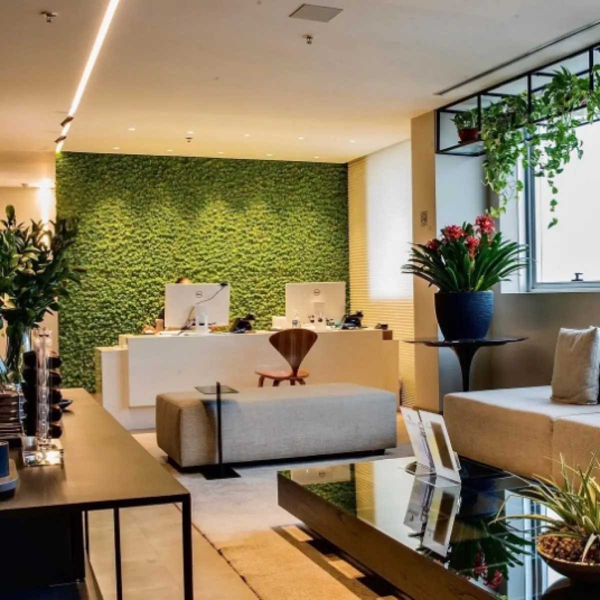 Reception area at Sollos clinic with modern decor and green wall