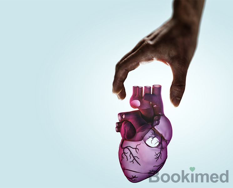 plastic-surgery-for-cardiac-valve