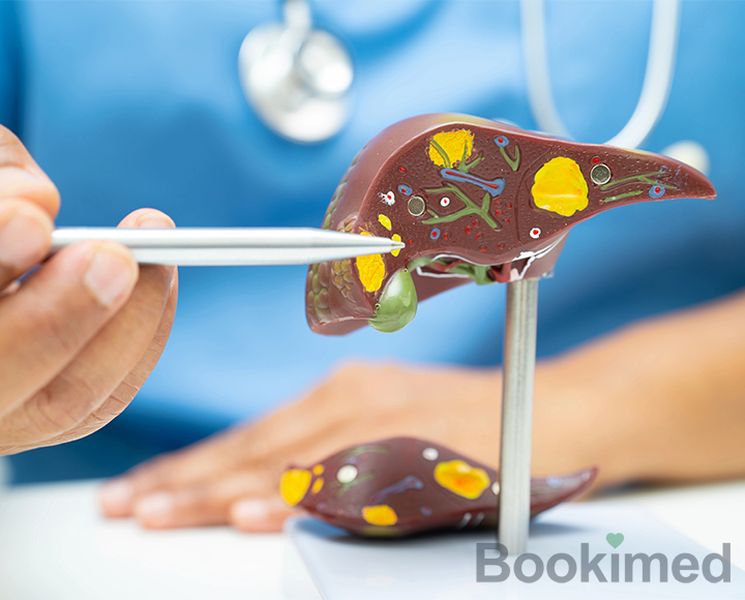 radiofrequency-ablation-of-the-liver