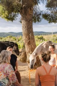 Детокс-ретрит: групповая медитация с лошадьми в Alaya Retreat Centre, результат терапии