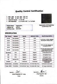 Certificado de control de calidad para terapia con células madre en ID Clinic Bangkok, resultados mostrados