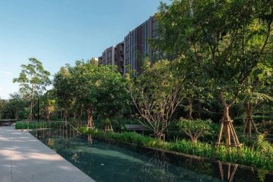 Sanpiti Rehabilitation Center garden with lush greenery and tranquil outdoor therapy area