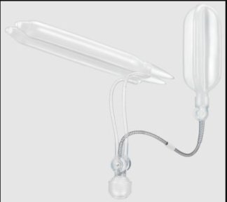 before-after photo penis-enlargement